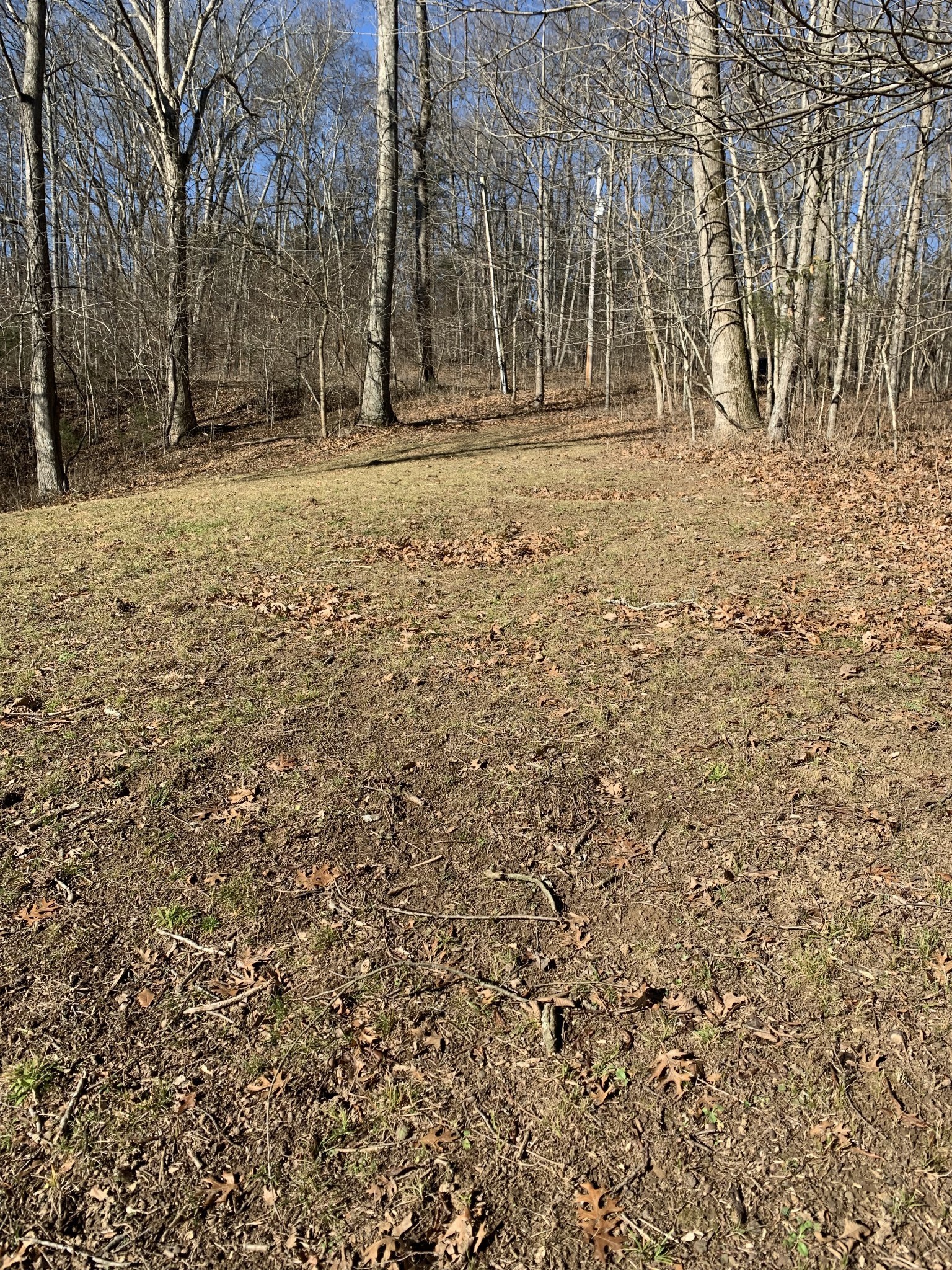 0 Pond Drive Gallatin TN 37066