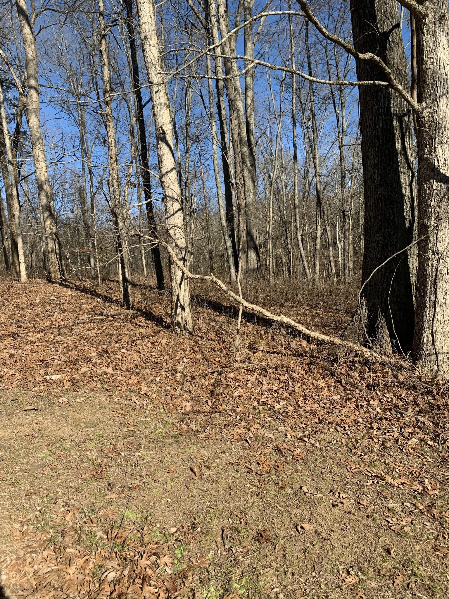 0 Pond Drive Gallatin TN 37066
