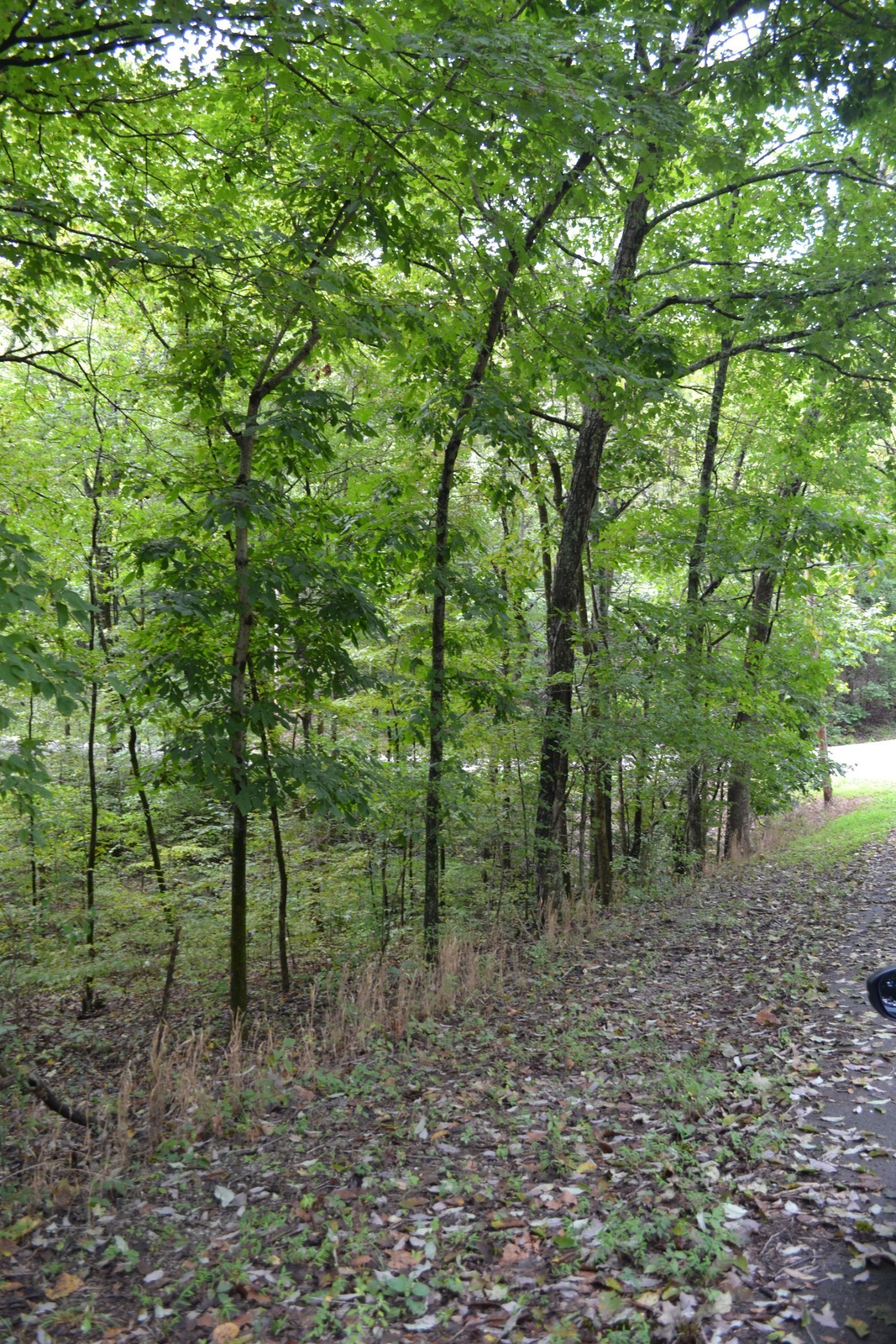 0 Pond Drive Gallatin TN 37066