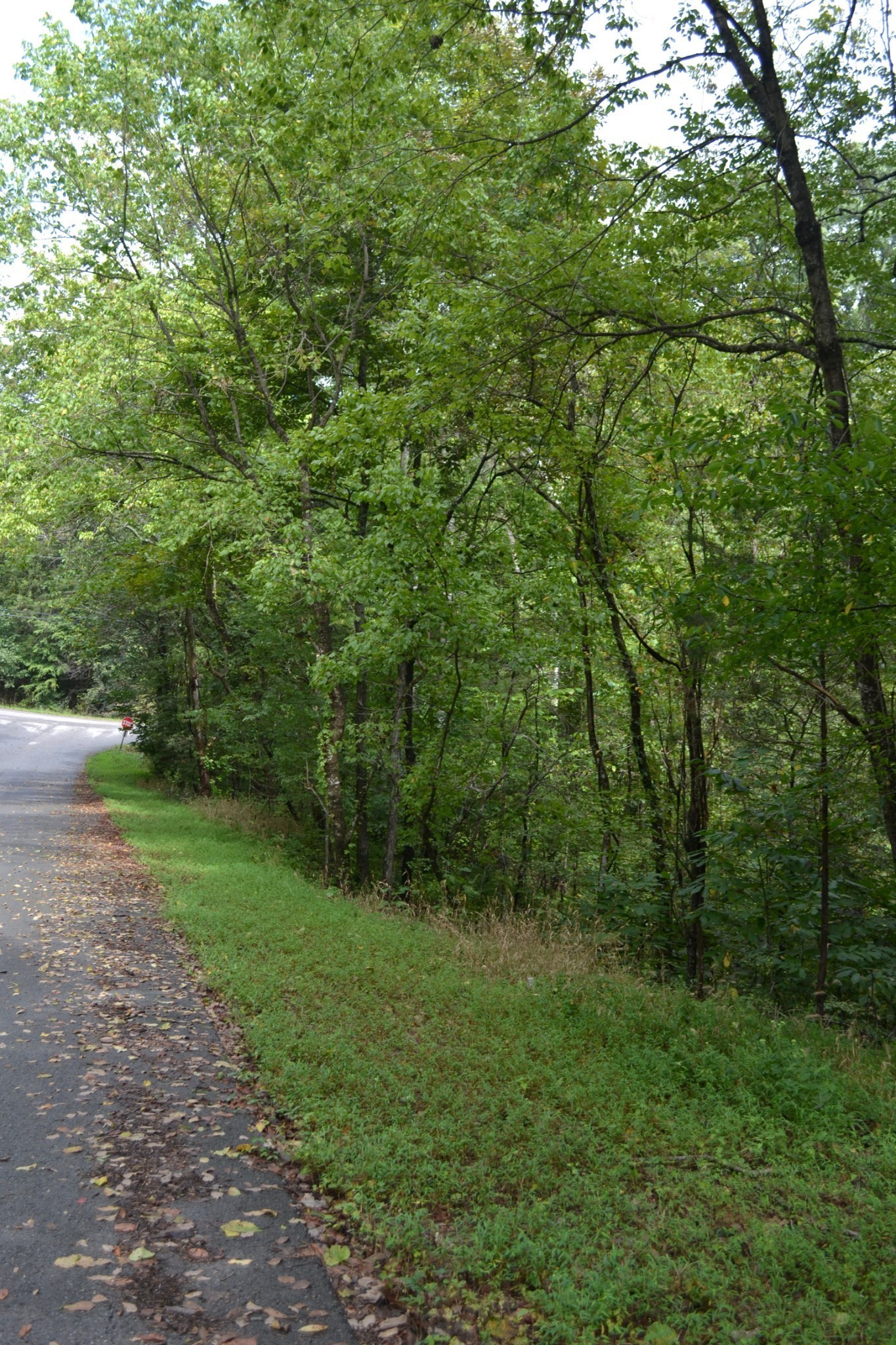 0 Pond Drive Gallatin TN 37066
