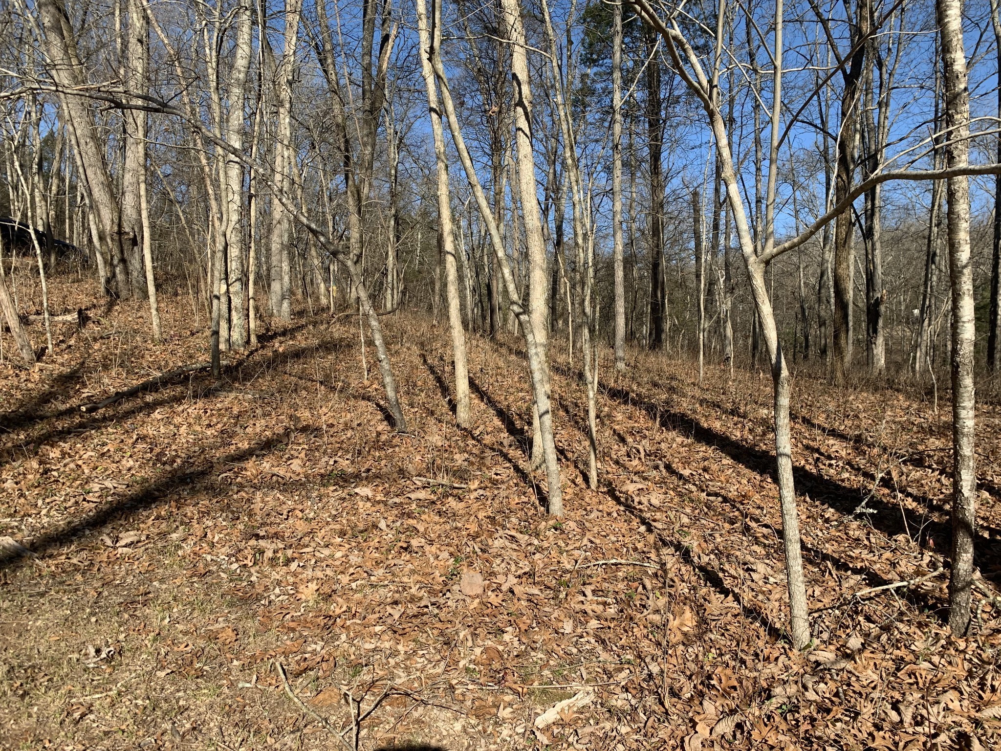 0 Pond Drive Gallatin TN 37066