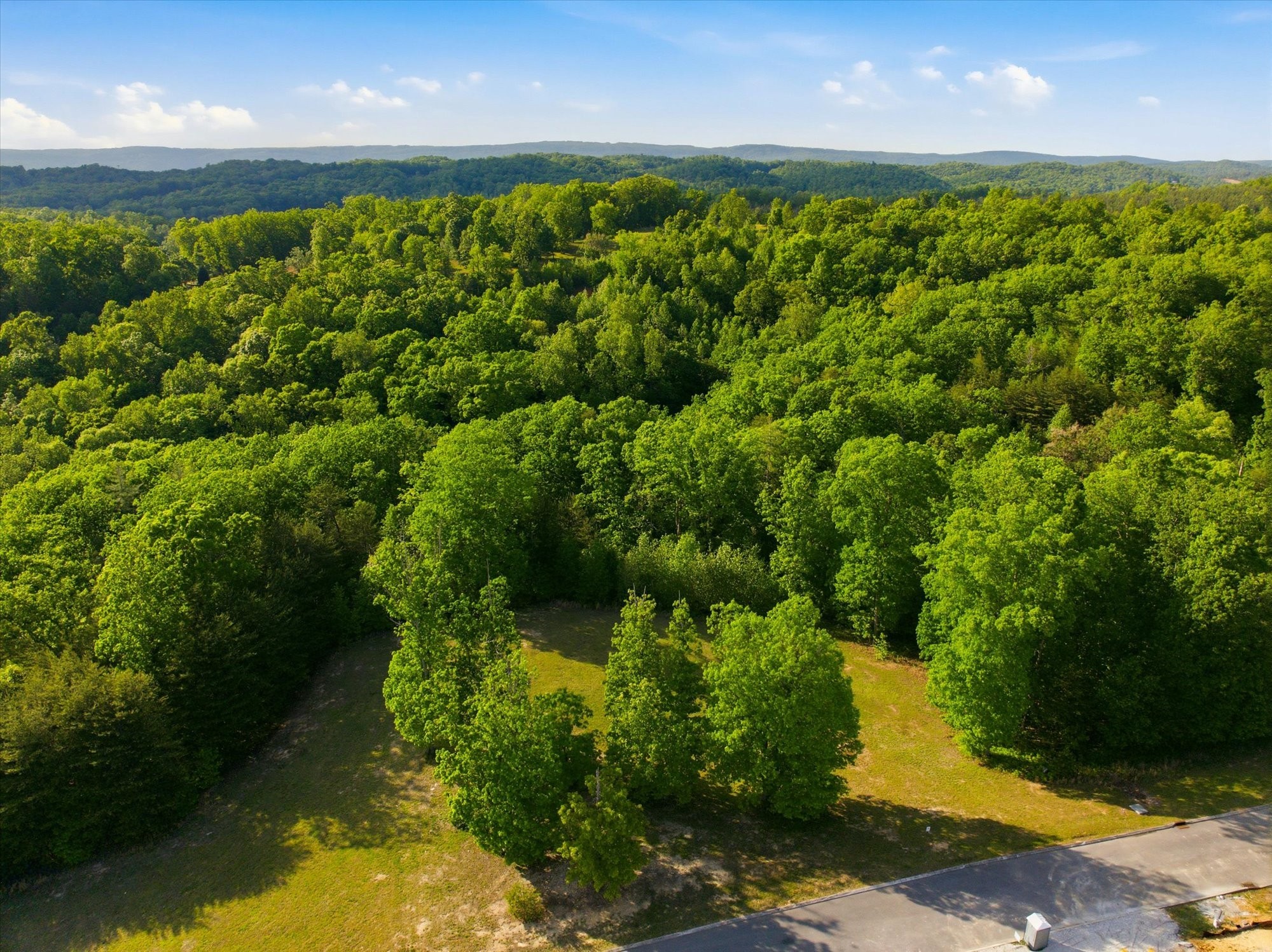 198 River Run Trail Spring City TN 37381