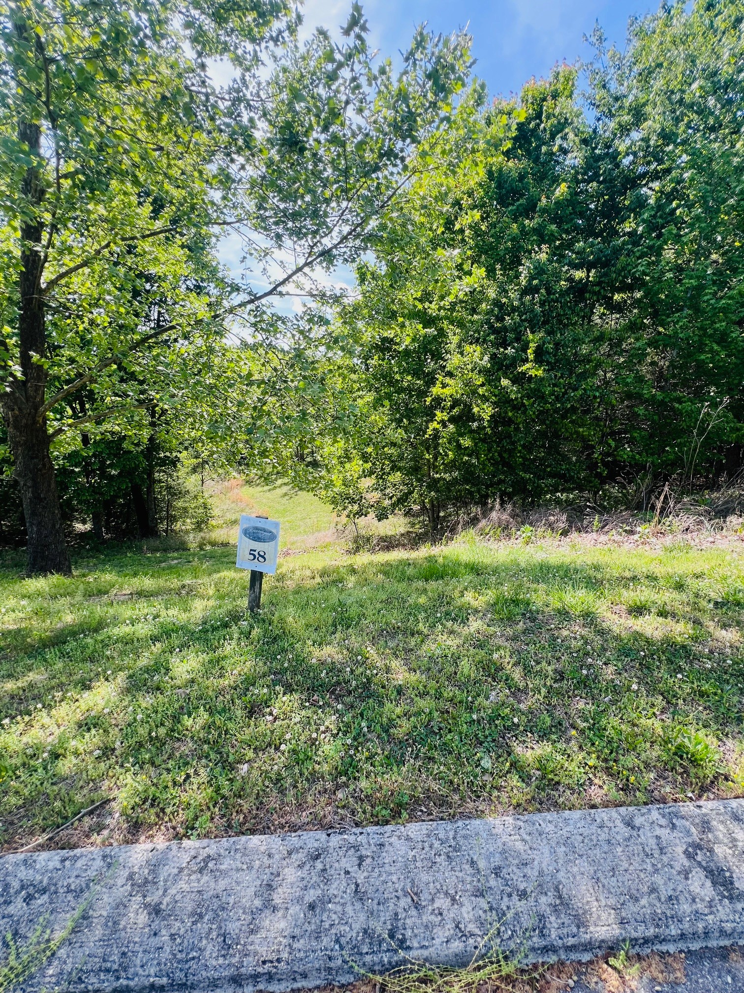 198 River Run Trail Spring City TN 37381