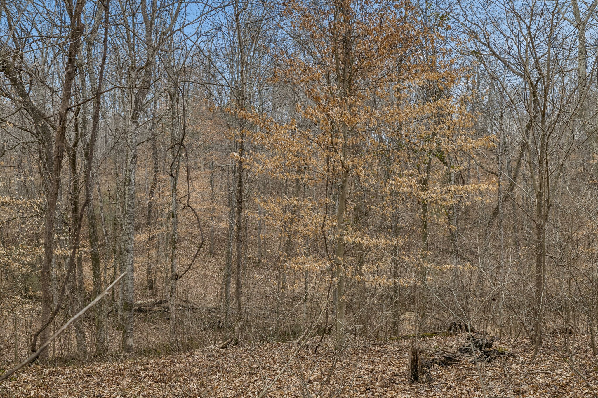 0 Mosley Ferry Road Ashland City TN 37015