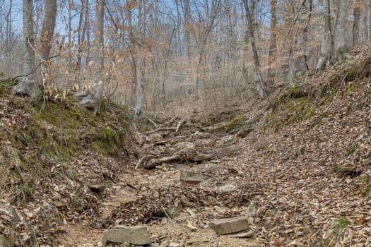 0 Mosley Ferry Road Ashland City TN 37015