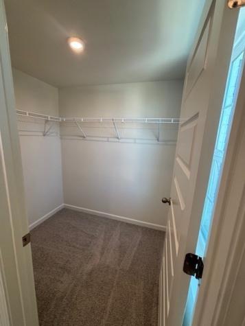 5356 Bellflower Hills Hermitage TN 37076