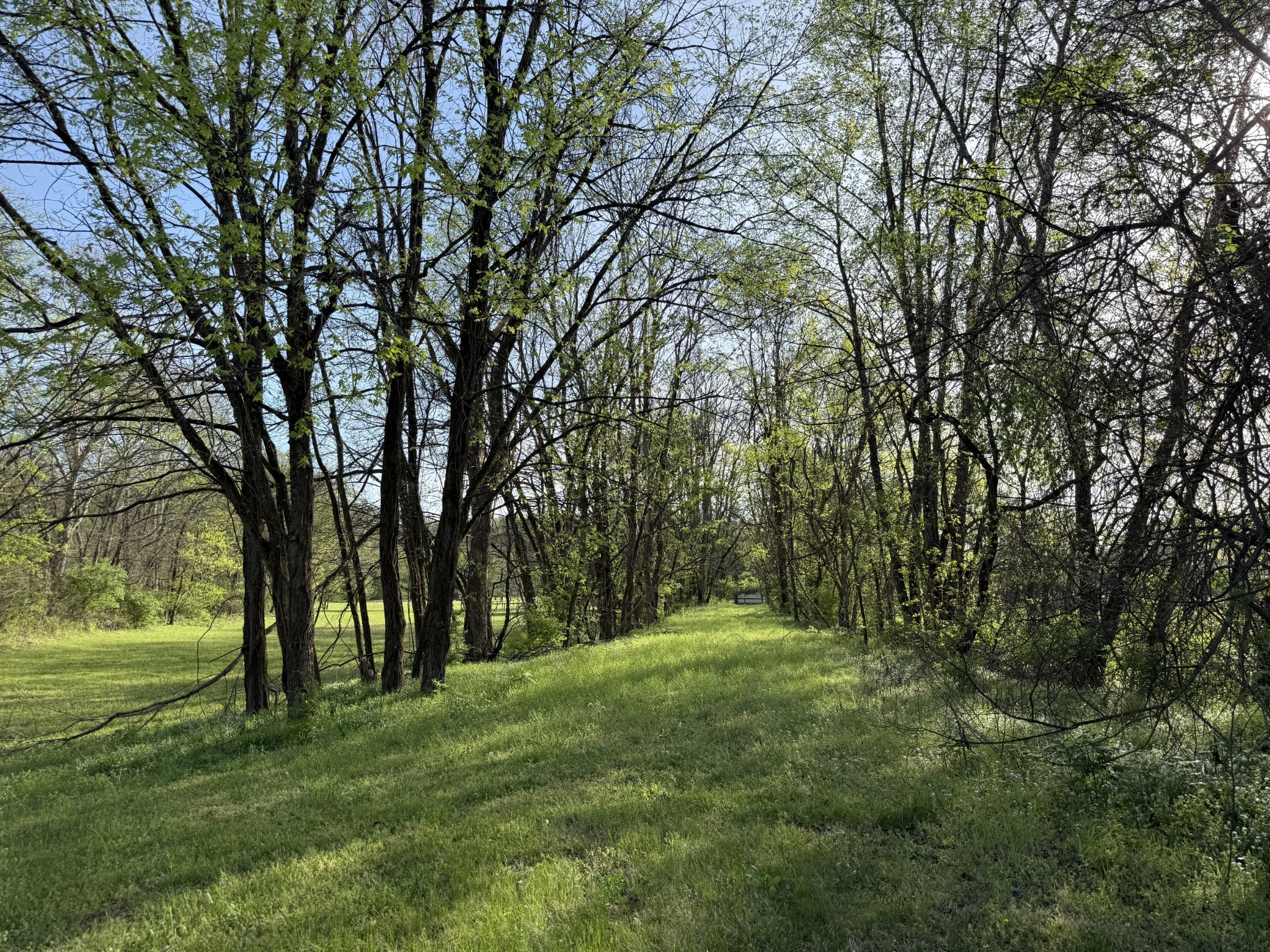 0 Hwy 31 E Bethpage TN 37022