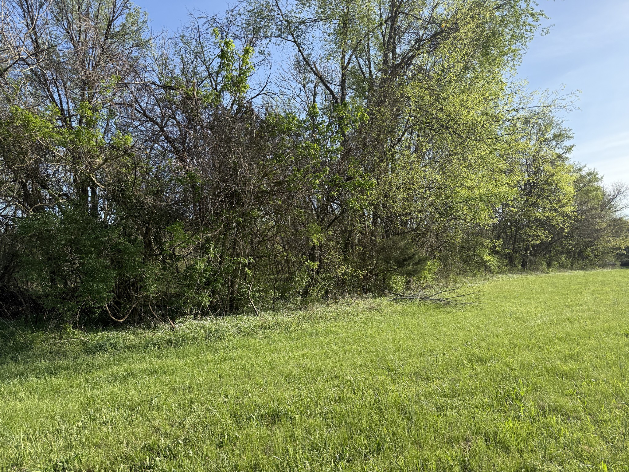 0 Hwy 31 E Bethpage TN 37022