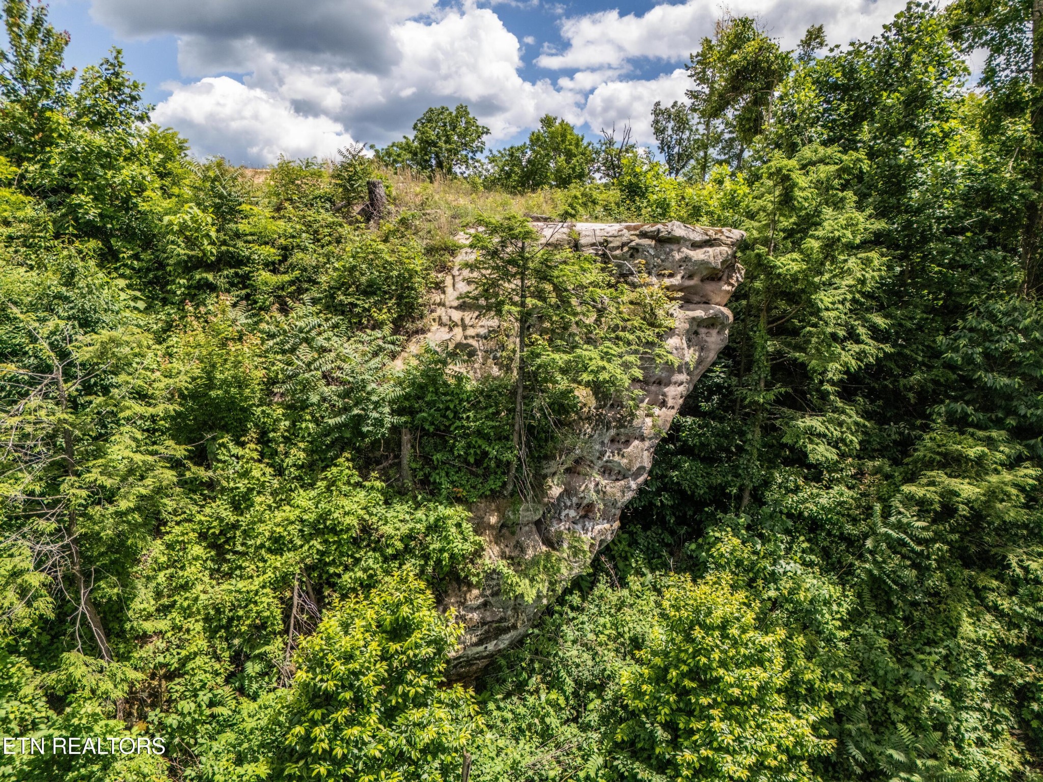 193 Glenobey Road Jamestown TN 38556
