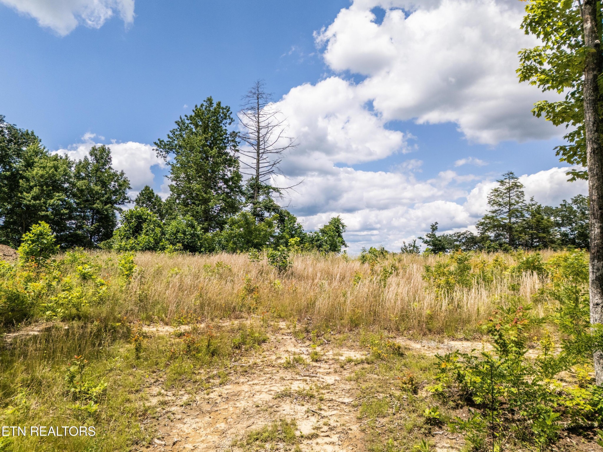 193 Glenobey Road Jamestown TN 38556