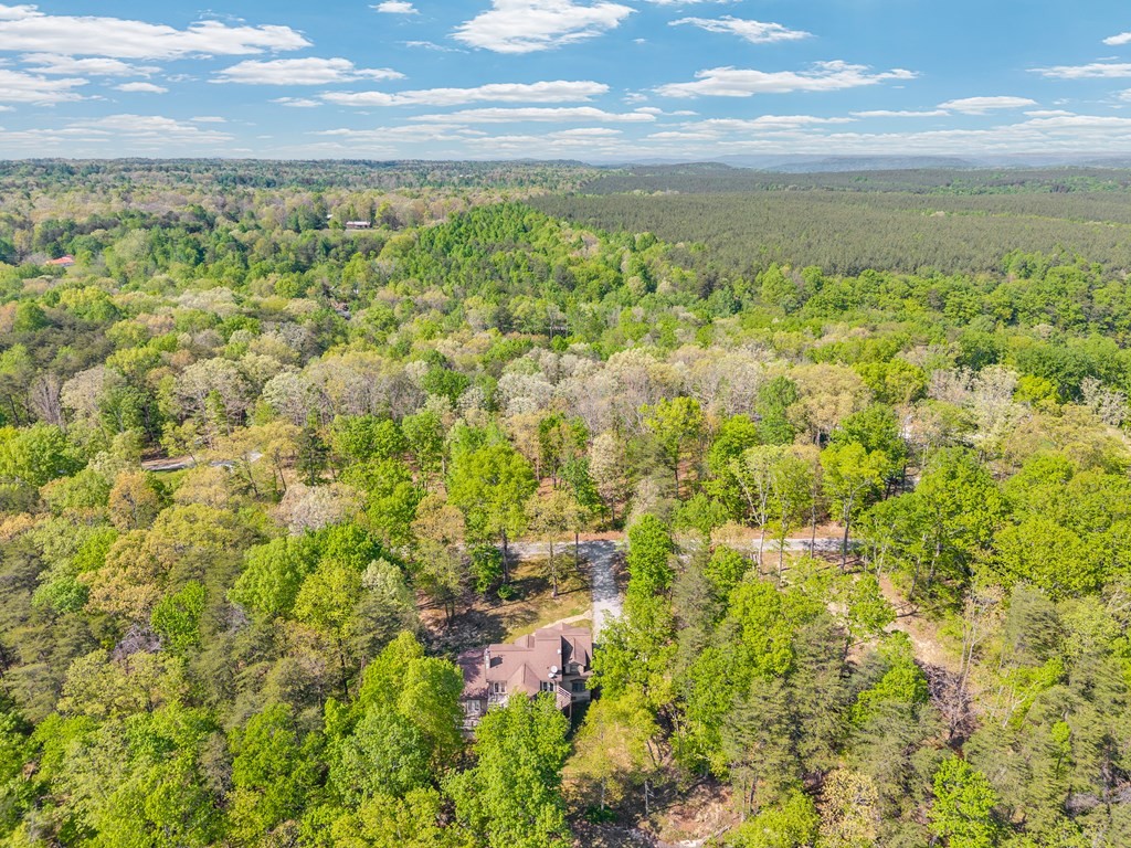 160 Eagles Bluff Circle Spencer TN 38585