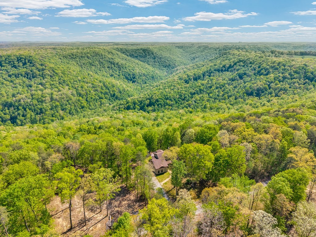 160 Eagles Bluff Circle Spencer TN 38585