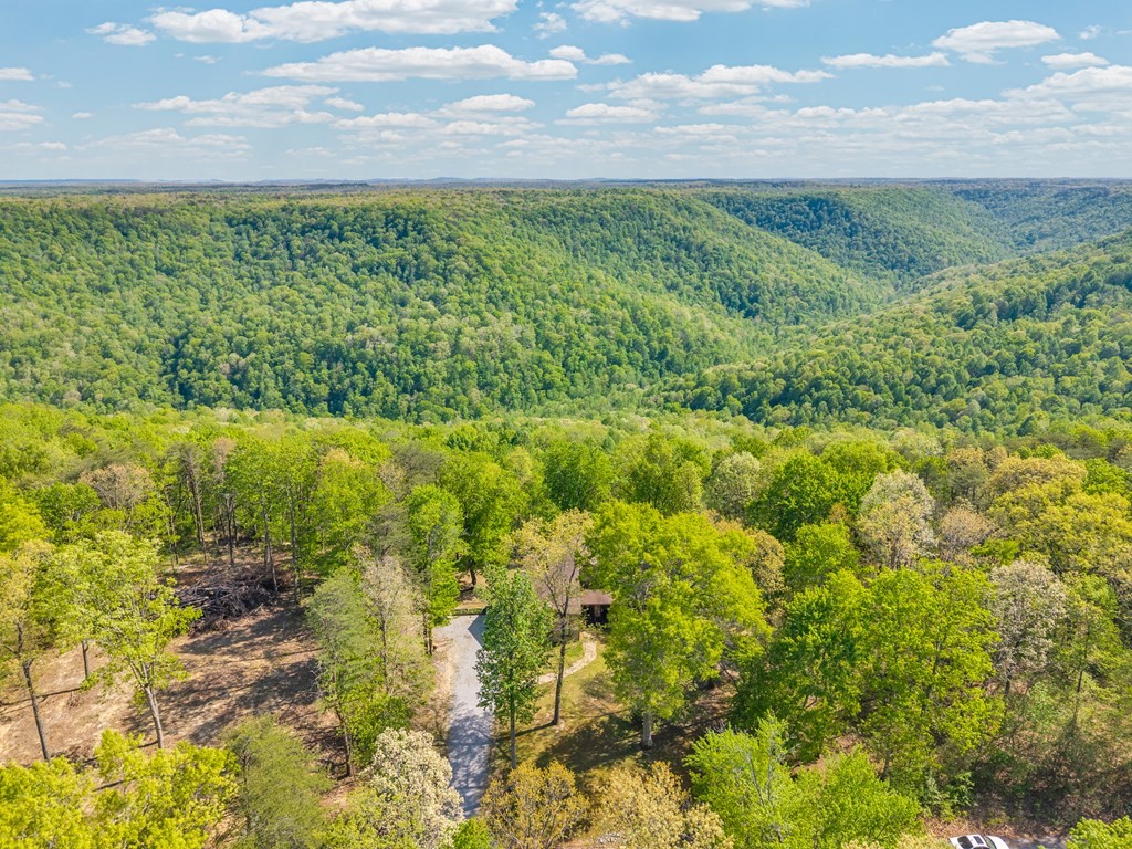 160 Eagles Bluff Circle Spencer TN 38585