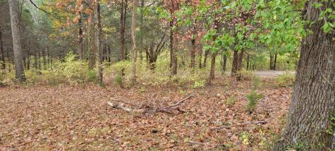 6995 Old River Road Pike Nashville TN 37209
