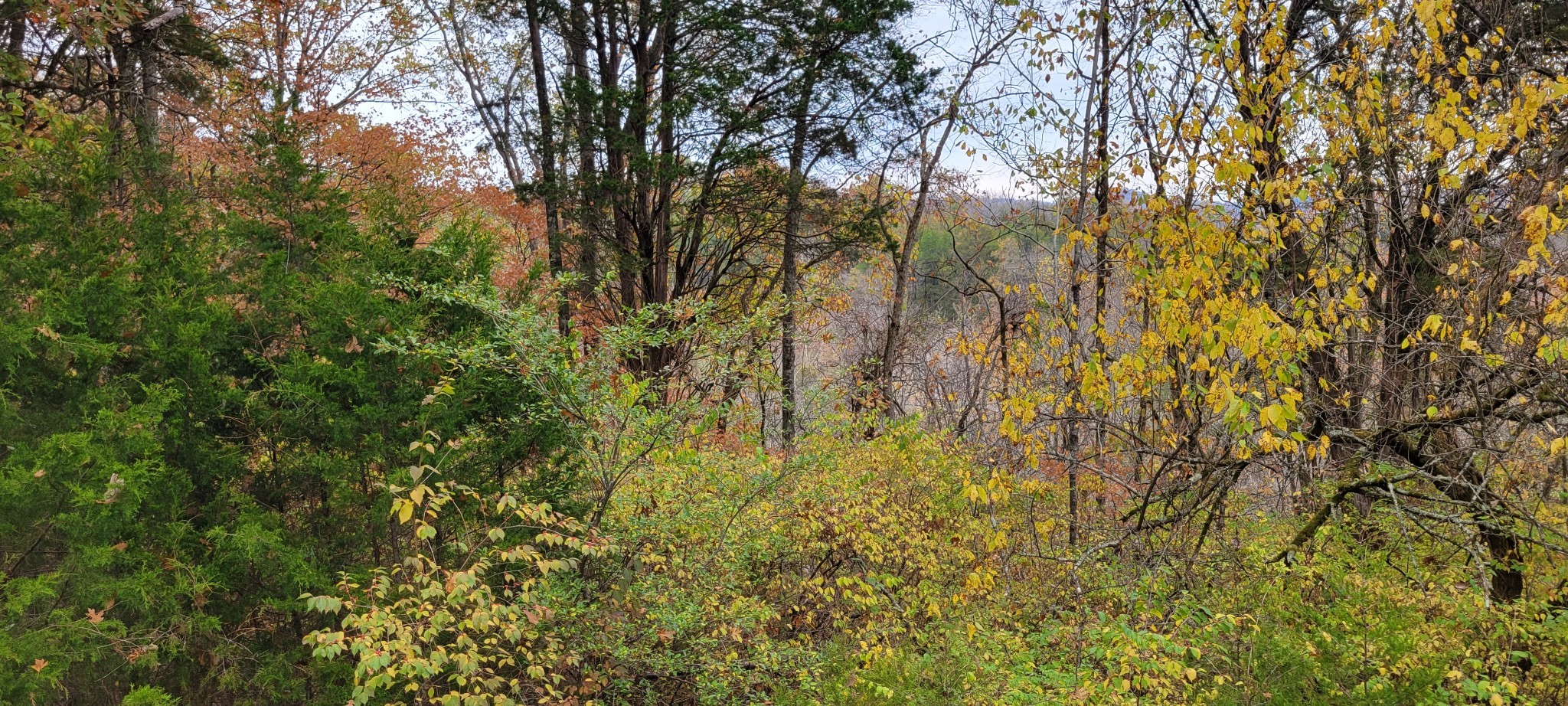 6995 Old River Road Pike Nashville TN 37209