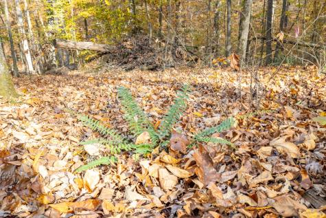 0 Grosch Tullahoma TN 37388