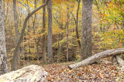 0 Grosch Tullahoma TN 37388