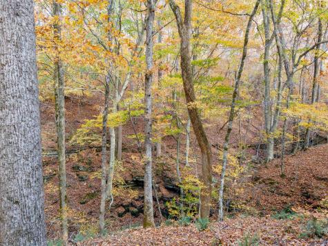 0 Grosch Tullahoma TN 37388