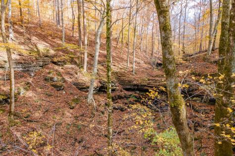 0 Grosch Tullahoma TN 37388