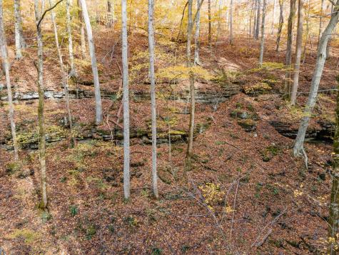 0 Grosch Tullahoma TN 37388