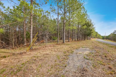 18 Ribbon Branch Road Dover TN 37058