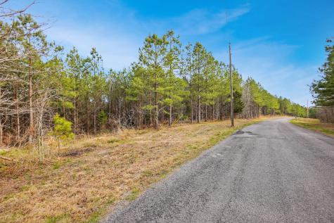 18 Ribbon Branch Road Dover TN 37058