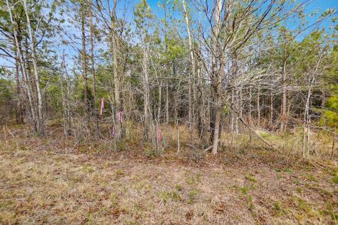 18 Ribbon Branch Road Dover TN 37058