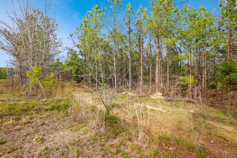 18 Ribbon Branch Road Dover TN 37058