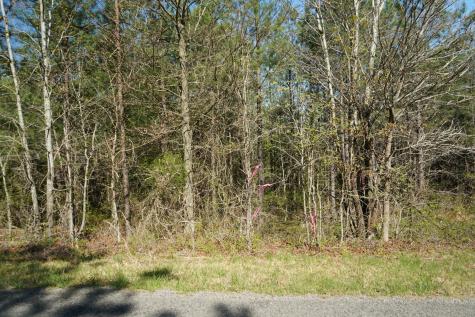 18 Ribbon Branch Road Dover TN 37058