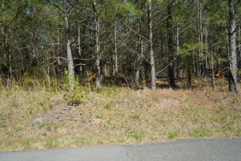 18 Ribbon Branch Road Dover TN 37058