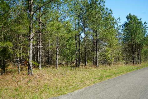 18 Ribbon Branch Road Dover TN 37058