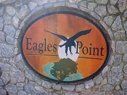 40 Eagle Point Circle Decaturville TN 38329