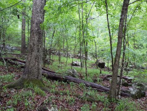 0 Sherwood Road Sherwood TN 37376