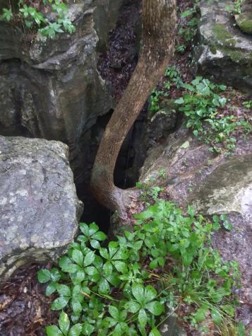 0 Sherwood Road Sherwood TN 37376