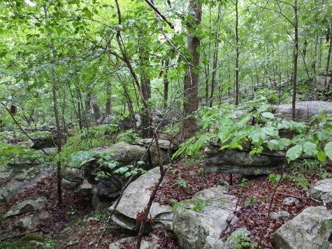 0 Sherwood Road Sherwood TN 37376