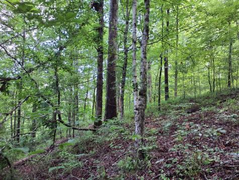 0 Sherwood Road Sherwood TN 37376