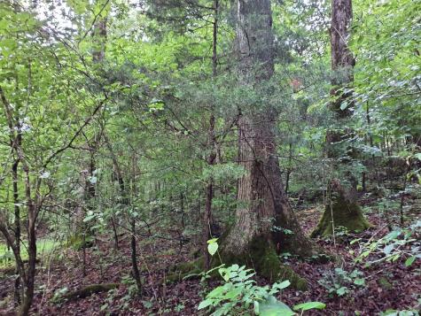 0 Sherwood Road Sherwood TN 37376