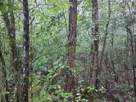 0 Sherwood Road Sherwood TN 37376