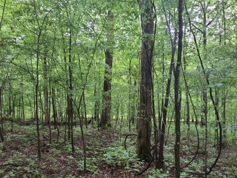 0 Sherwood Road Sherwood TN 37376