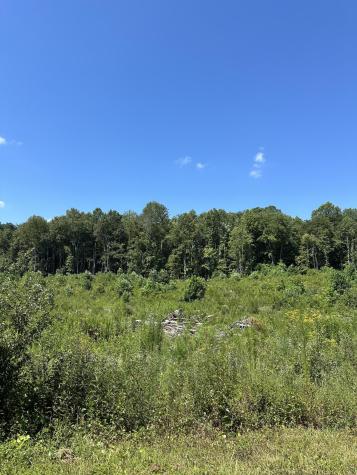 12 Dykes Hollow Road Tracy City TN 37387