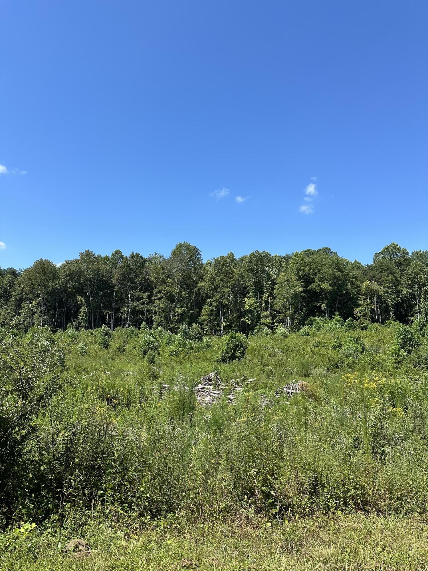 12 Dykes Hollow Road Tracy City TN 37387