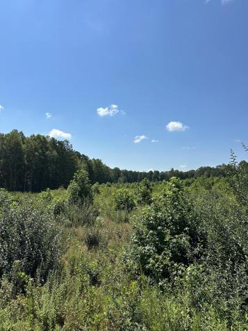 12 Dykes Hollow Road Tracy City TN 37387