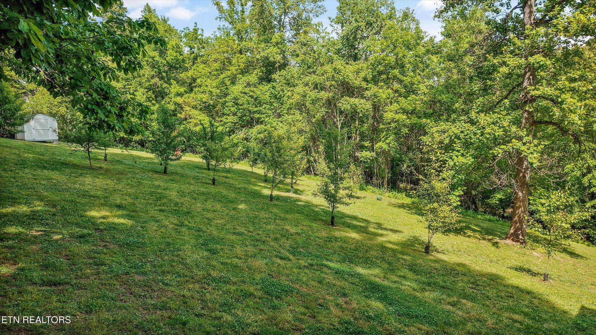 6325 Norwood Road Knoxville TN 37914