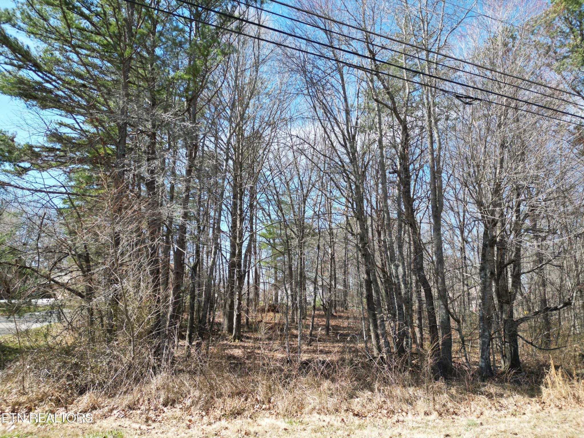 556 Westchester Drive Crossville TN 38558