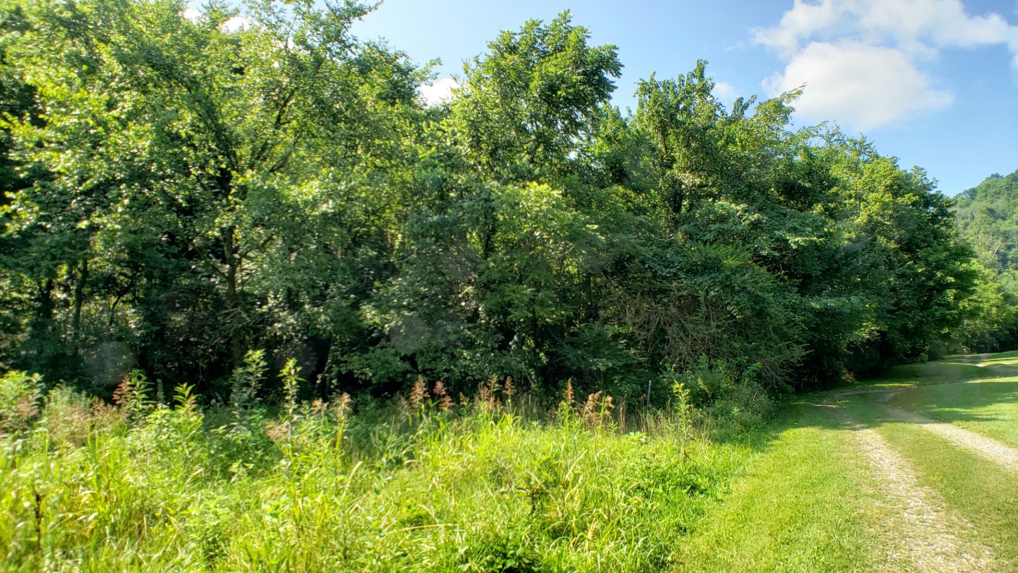 8100 Eaton Hollow Road Christiana TN 37037