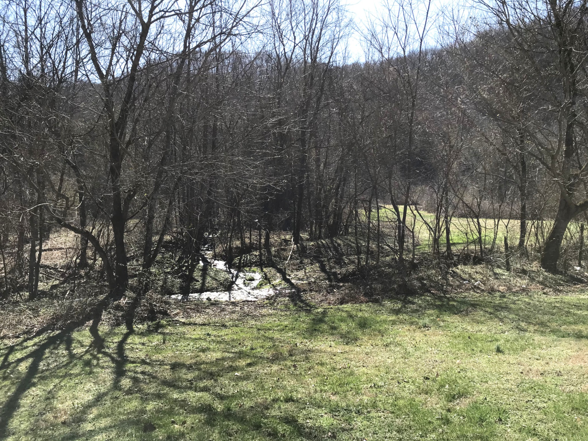 8100 Eaton Hollow Road Christiana TN 37037