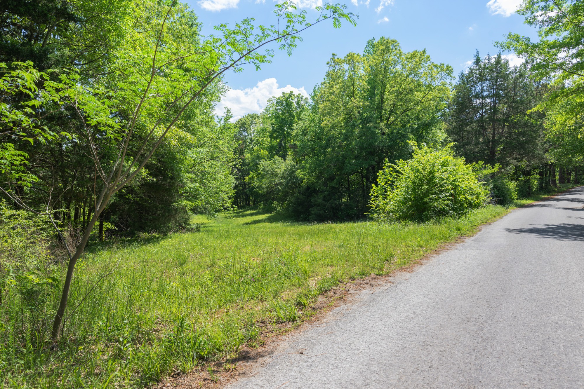 0 Red Williams Road Huntingdon TN 38344