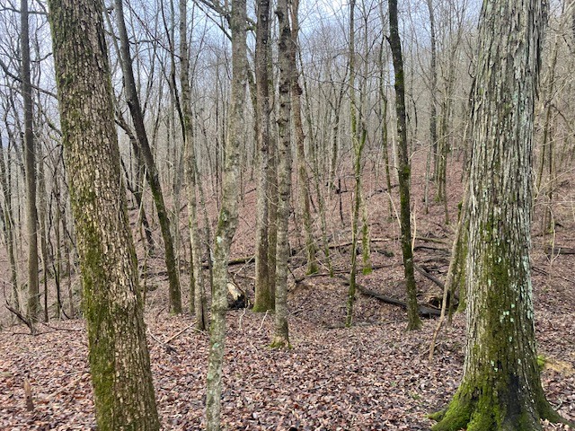 0 Talley Top Trail Huntland TN 37345