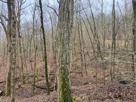 0 Talley Top Trail Huntland TN 37345