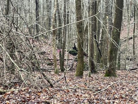 0 Talley Top Trail Huntland TN 37345